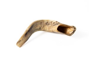 Image description is not available for 2011.60.1